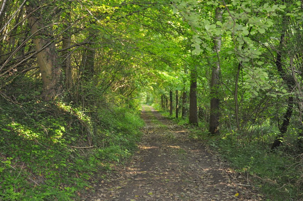 Les chemins de randonnée